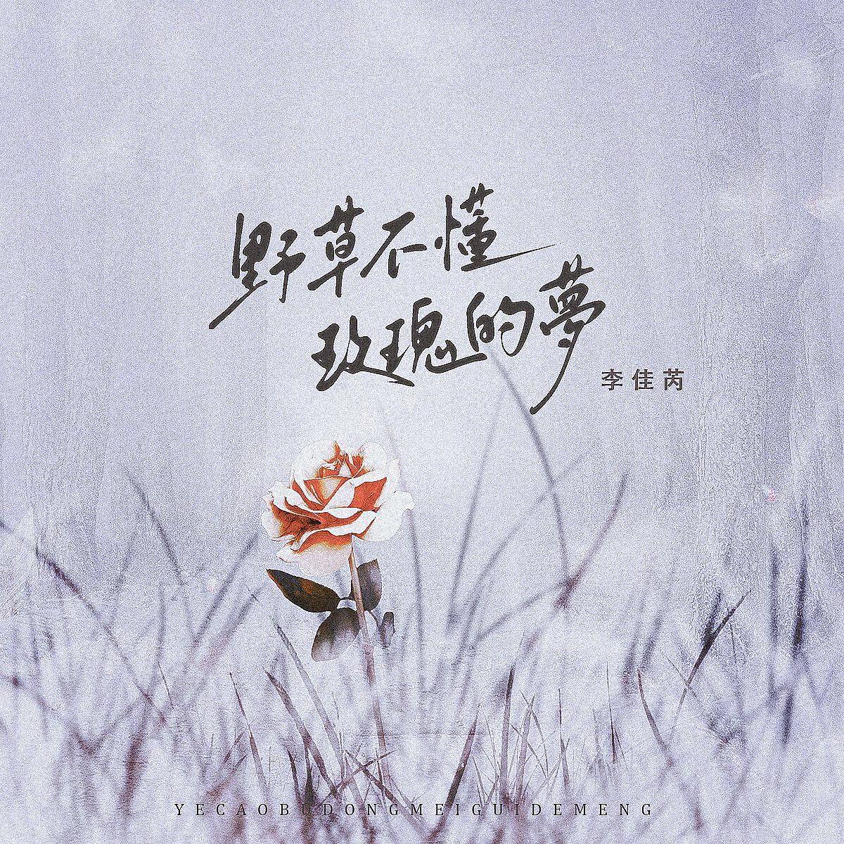 野花做了场玫瑰的梦