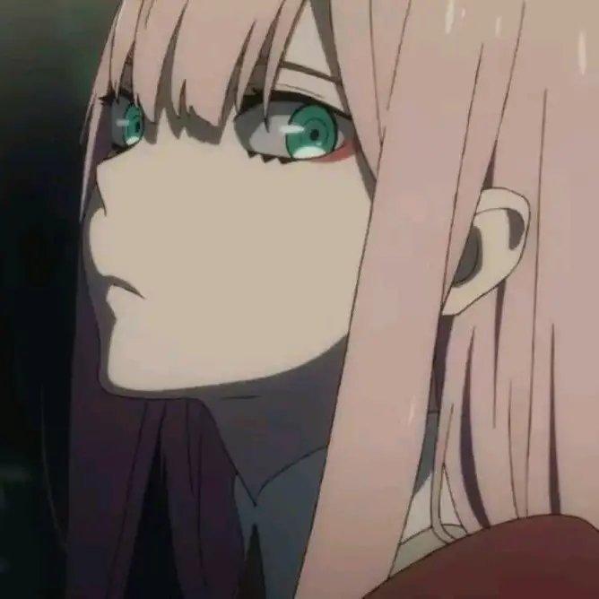 卫冕.（生而无畏）