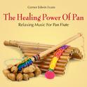 The Healing Power of Pan: Relaxing Music for Pan Flute专辑