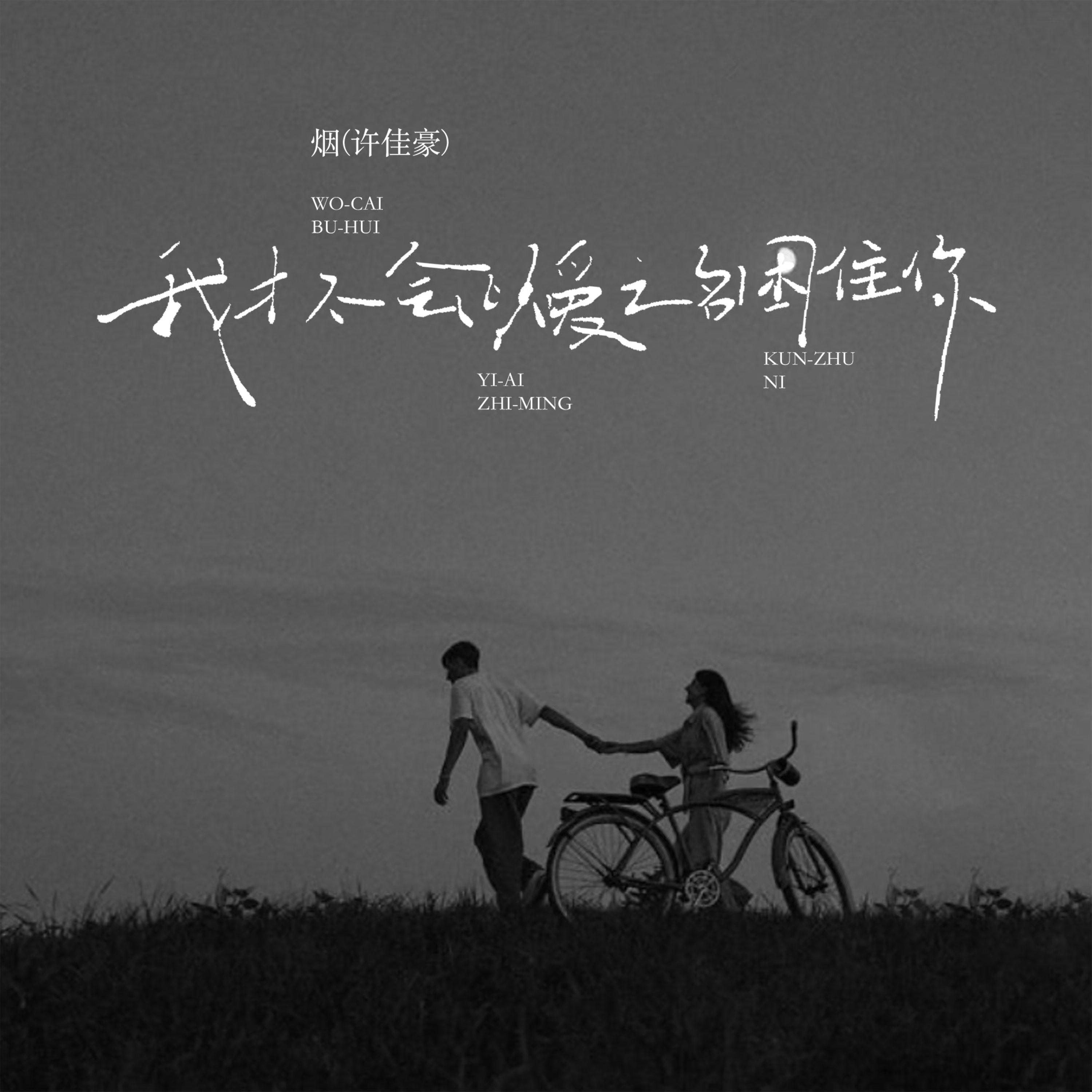 我才不会以爱之名困住你 (DJ沈乐版)