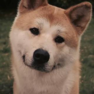 电子 中文= ~\(≧▽≦)/~