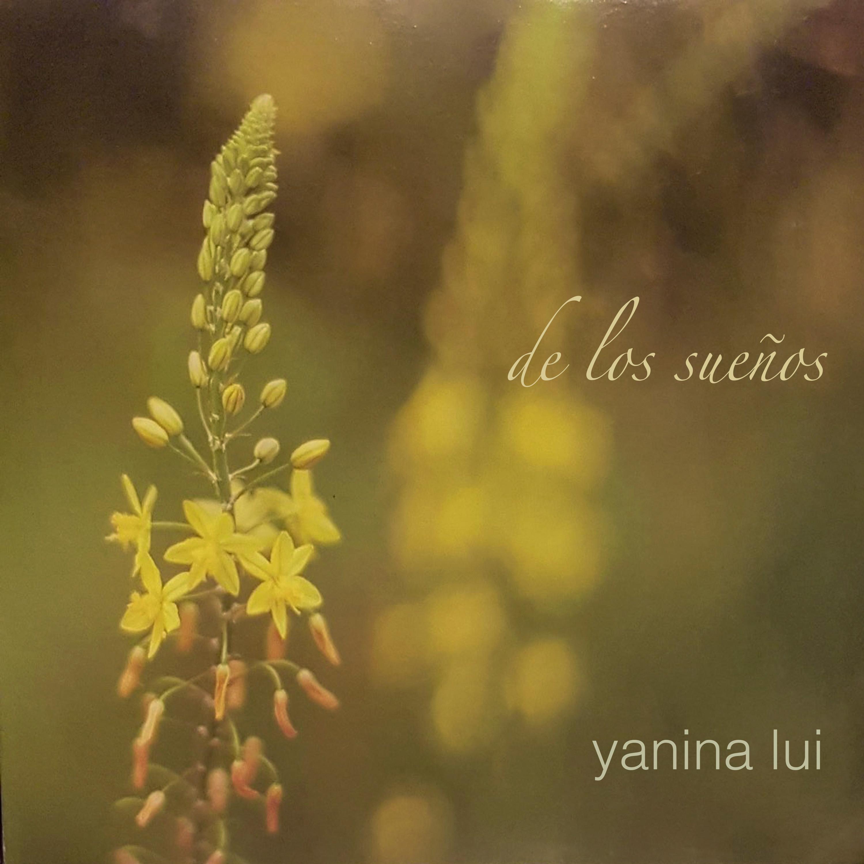 Yanina Lui - A puro fierro (feat. Juan Falú)