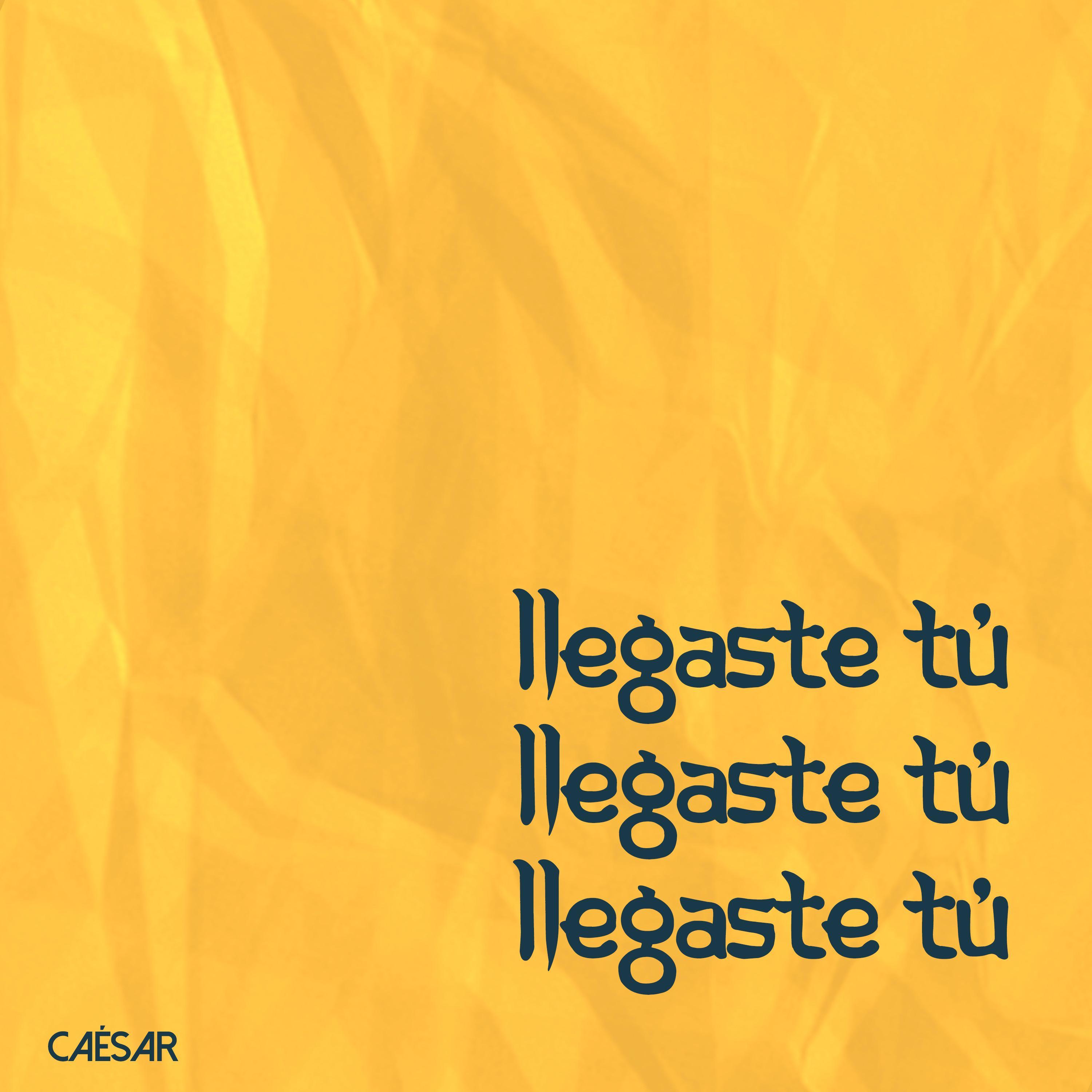 Llegaste Tú (Versión Urbana)