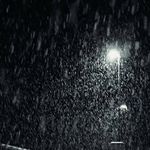 雨の形专辑