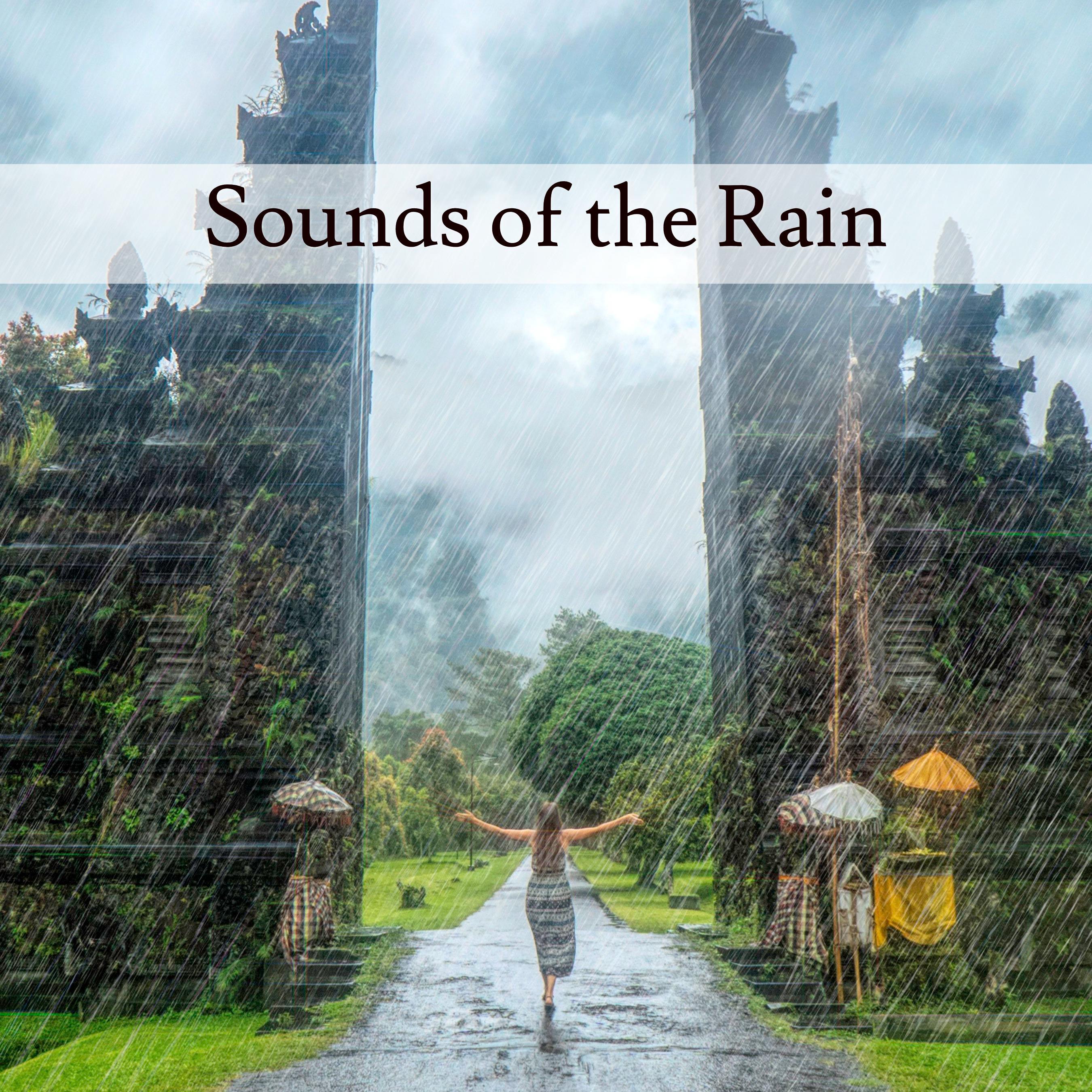 Sounds of the Rain