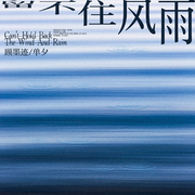 留不住风雨