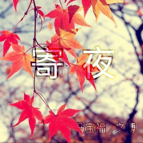 寄夜