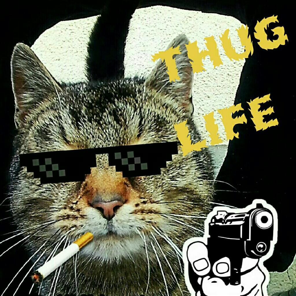 Thug Life｜史上最全歌单