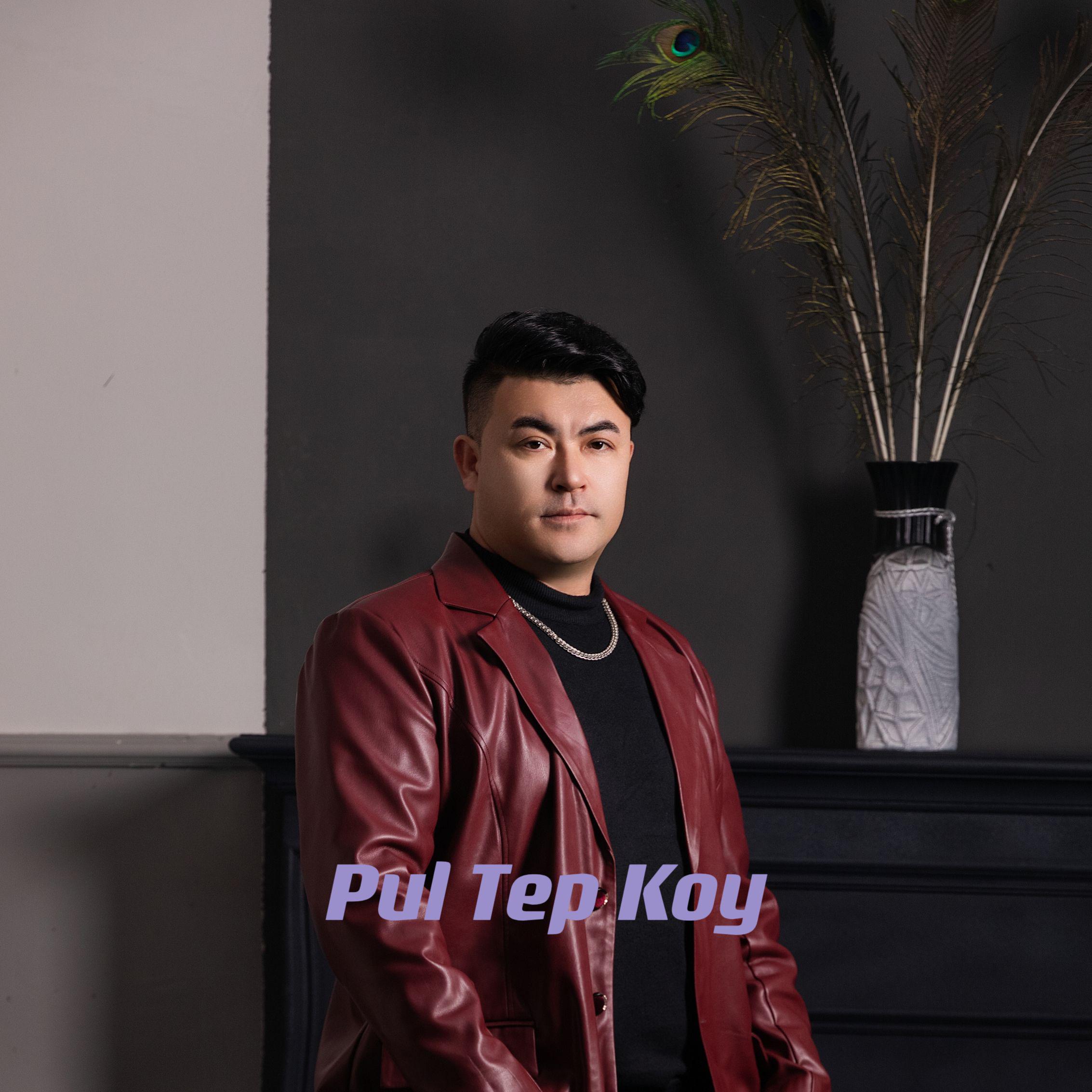 Pul Tep Koy专辑