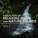 A Selection of Relaxing Music and Nature Sounds, Vol. 2专辑