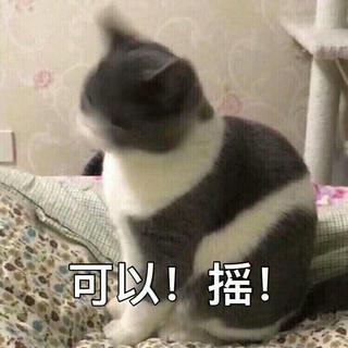 打雷了 摇头