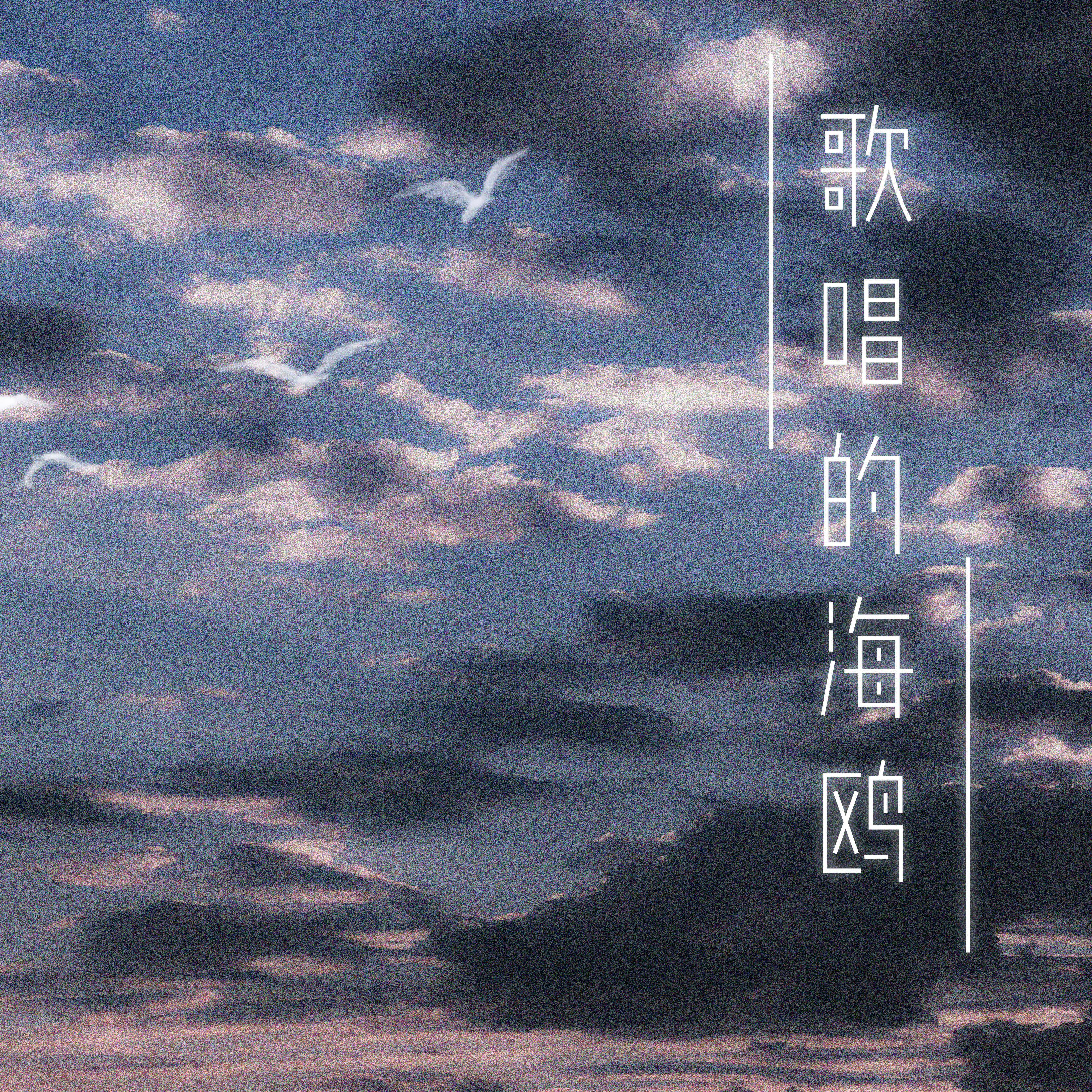 歌唱的海鸥