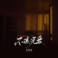 苏星婕 - 不该说爱