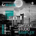 SINSEKAI STUDIO SAMPLER Vol. 1