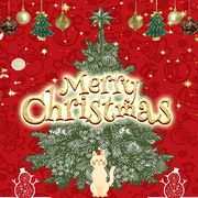 Merry Christmas 圣诞快乐~