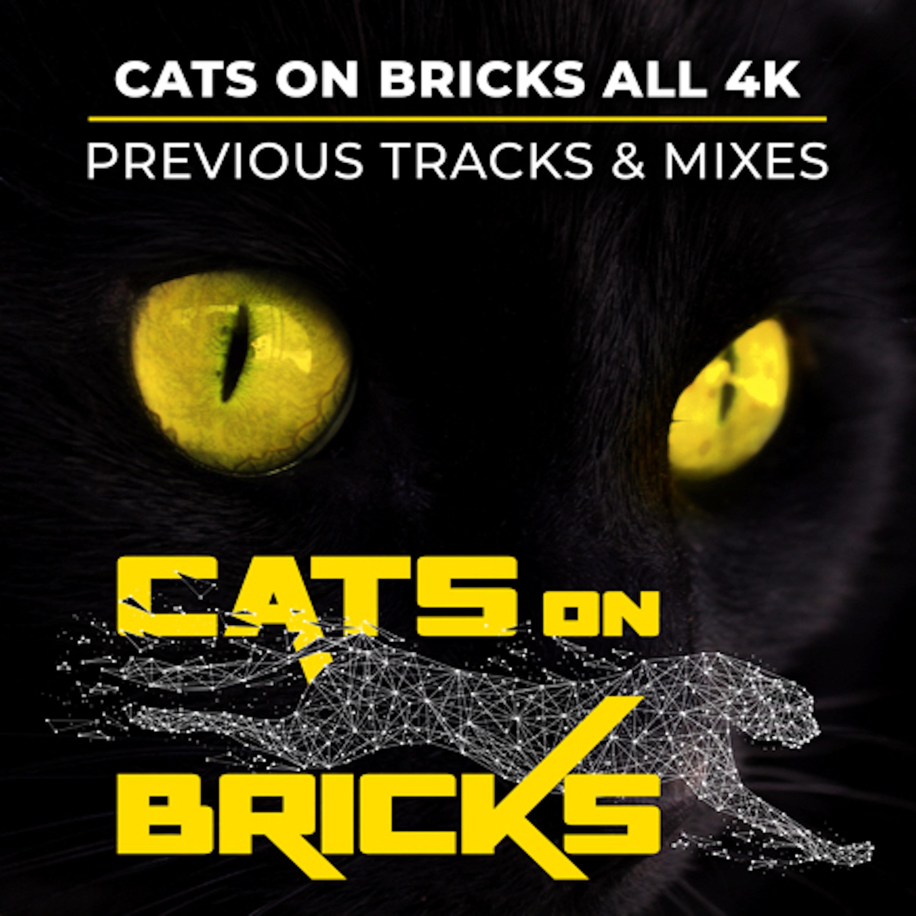 Cats On Bricks - Unstoppable (Karsten Kiessling Melodic Mix)