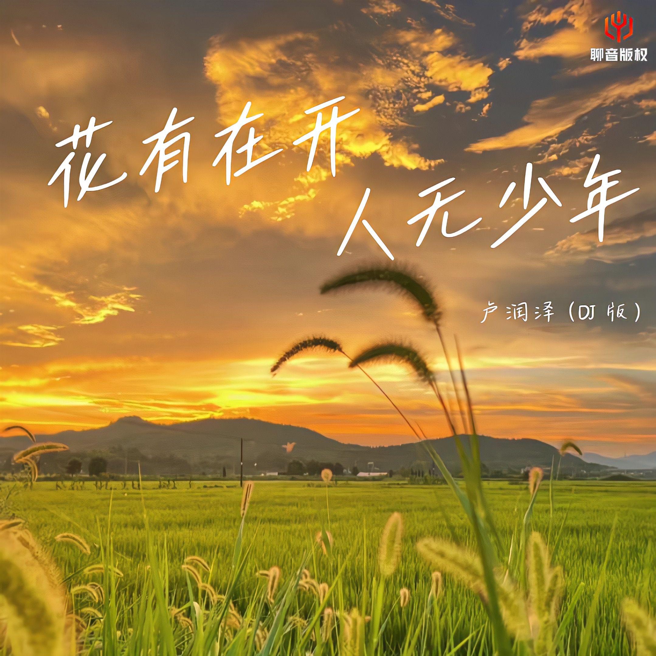 花有再开人无少年(DJ豪大大版)专辑