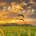 花有再开人无少年(DJ豪大大版)专辑
