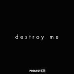 Destroy Me (Extended Mix)
