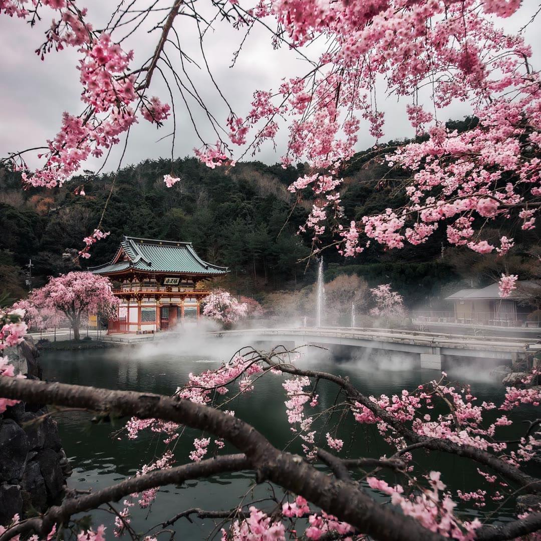 子荣呀-