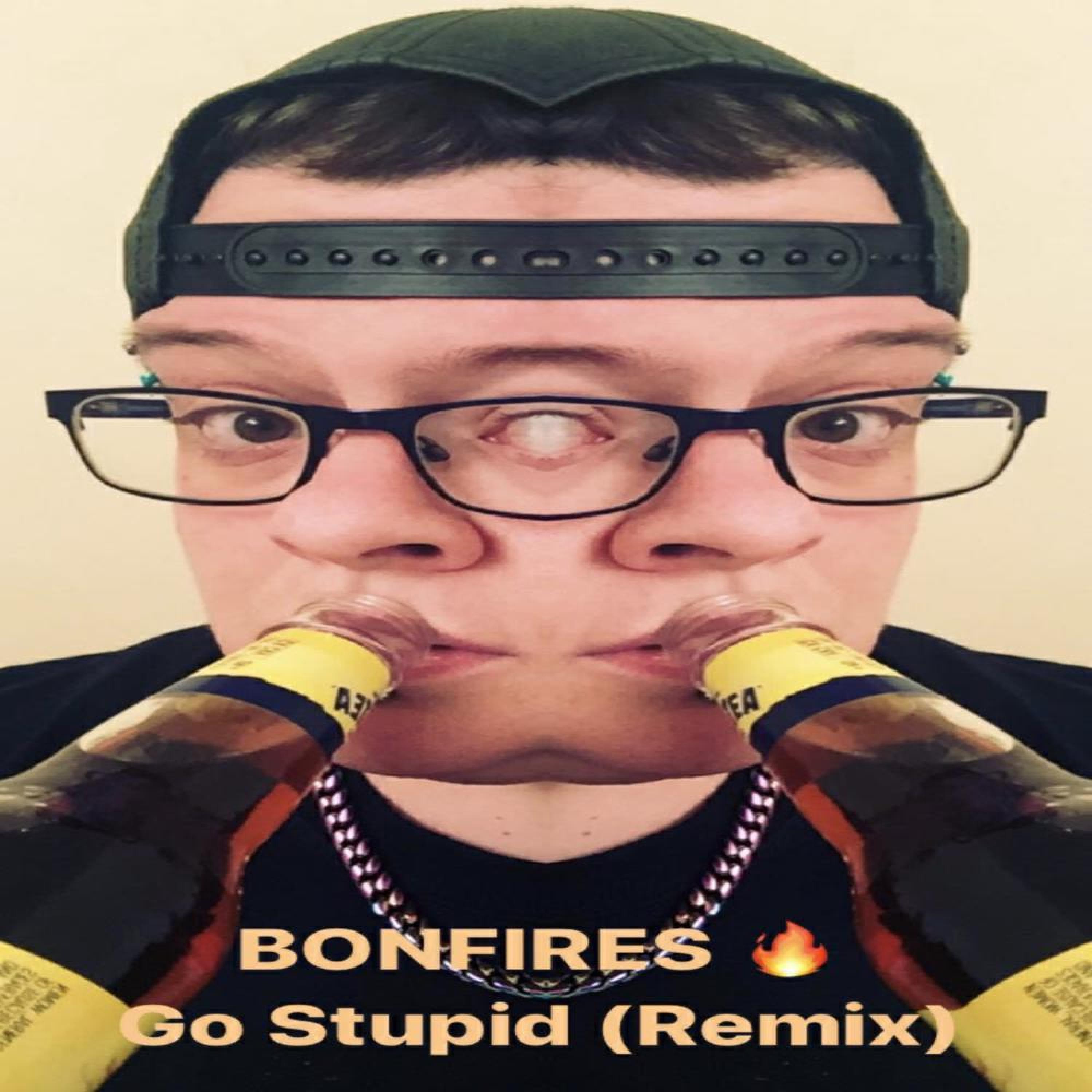 Go Stupid (Remix)