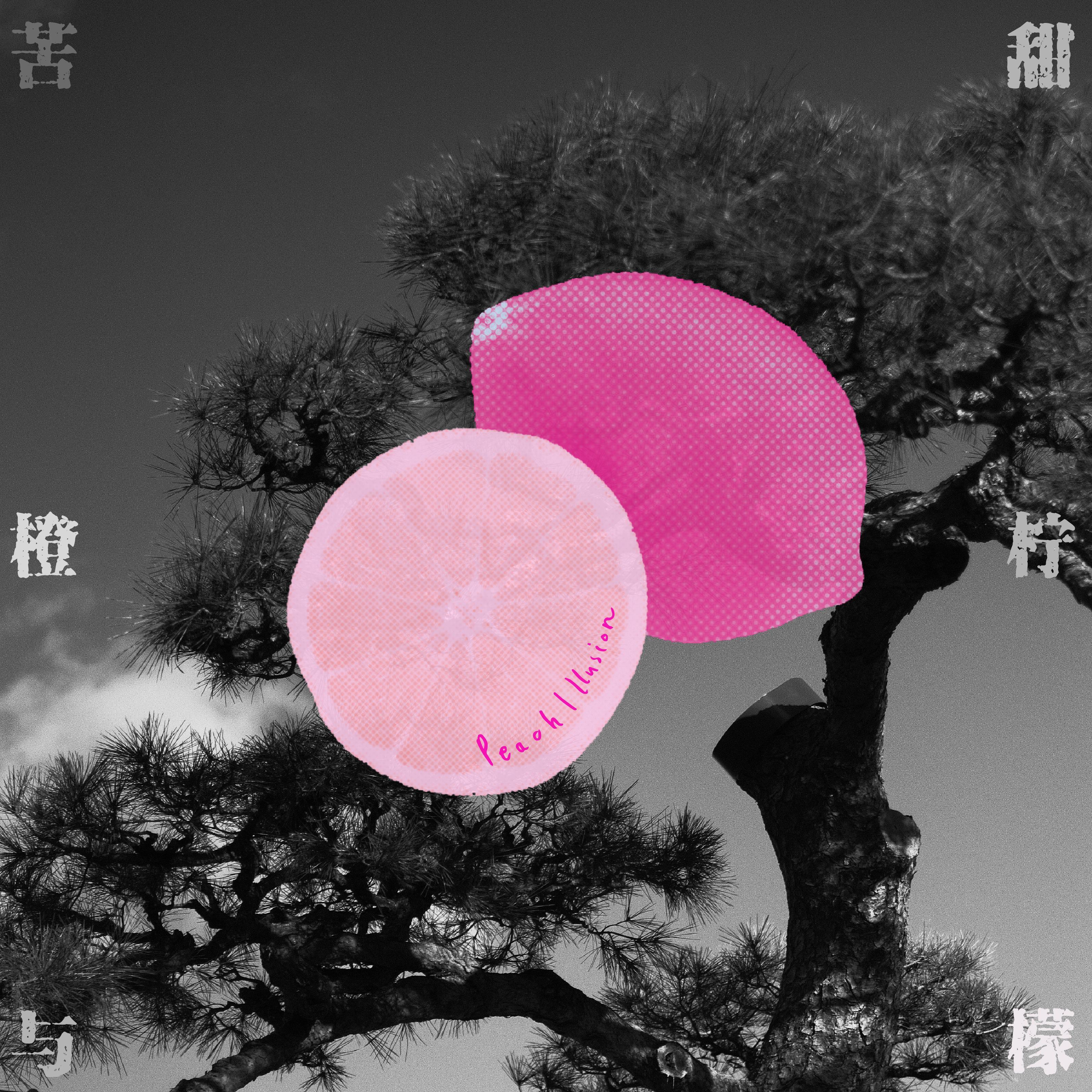 苦橙与甜柠檬