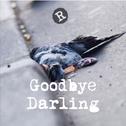 Goodbye Darling专辑