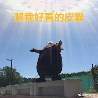各种卡点音乐和背景音乐(不定时更新)