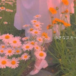 精选丨宝藏的神仙歌曲✨