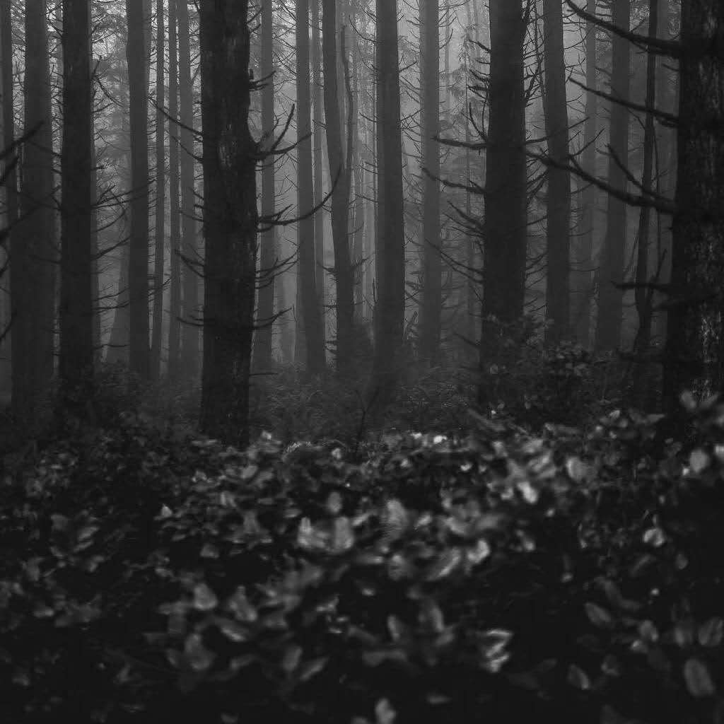 [ FREE] NO TYPE BEAT "WU"