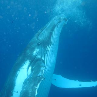 「后摇」沉溺在深海之中