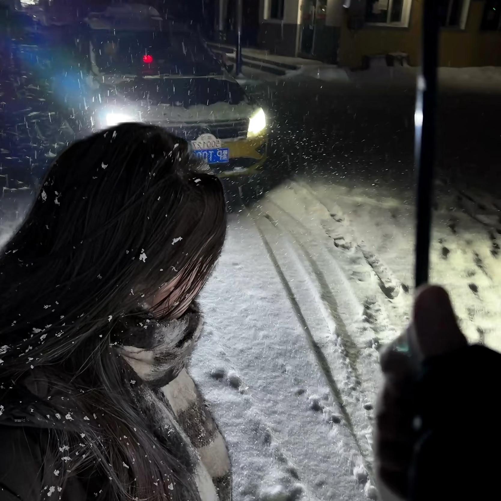 花海（治愈版）