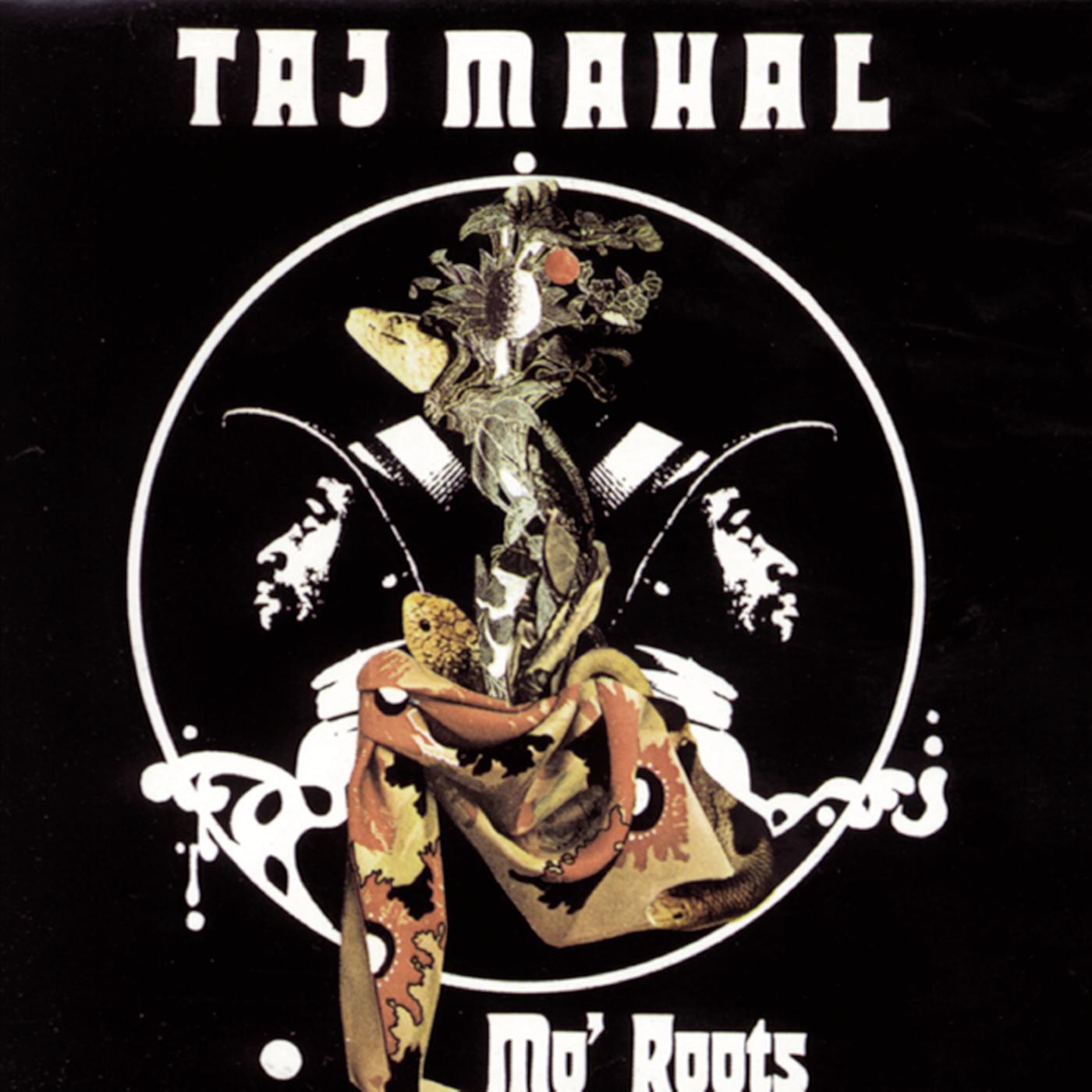 taj mahal - 单曲 - 网易云音乐