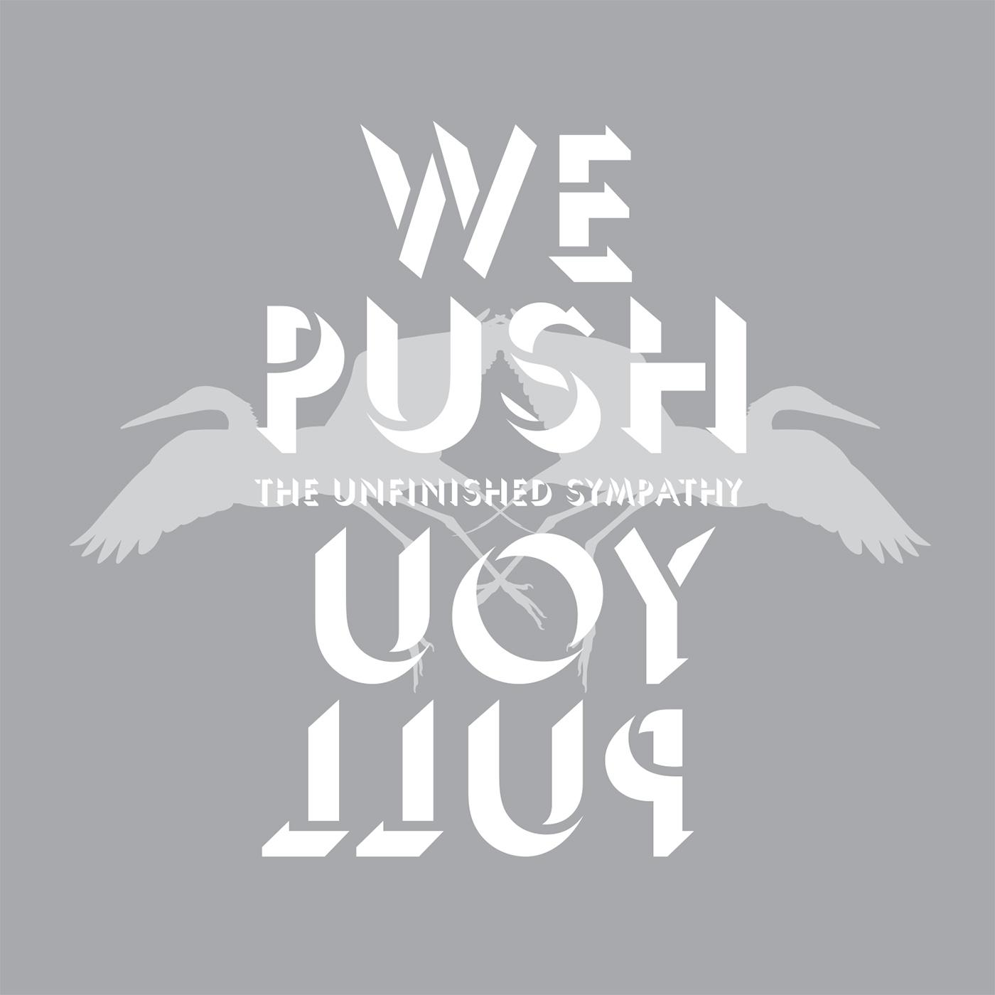 We Push You Pull