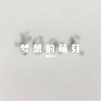 找个好人嫁了吧(最新嘉宾摇滚版)