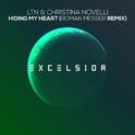 Hiding My Heart (Roman Messer Extended Remix)专辑