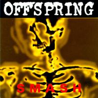 Self Esteem - The Offspring (SC karaoke) 带和声伴奏