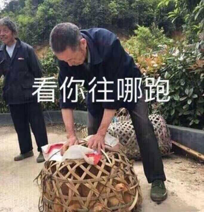 不知道什么东西