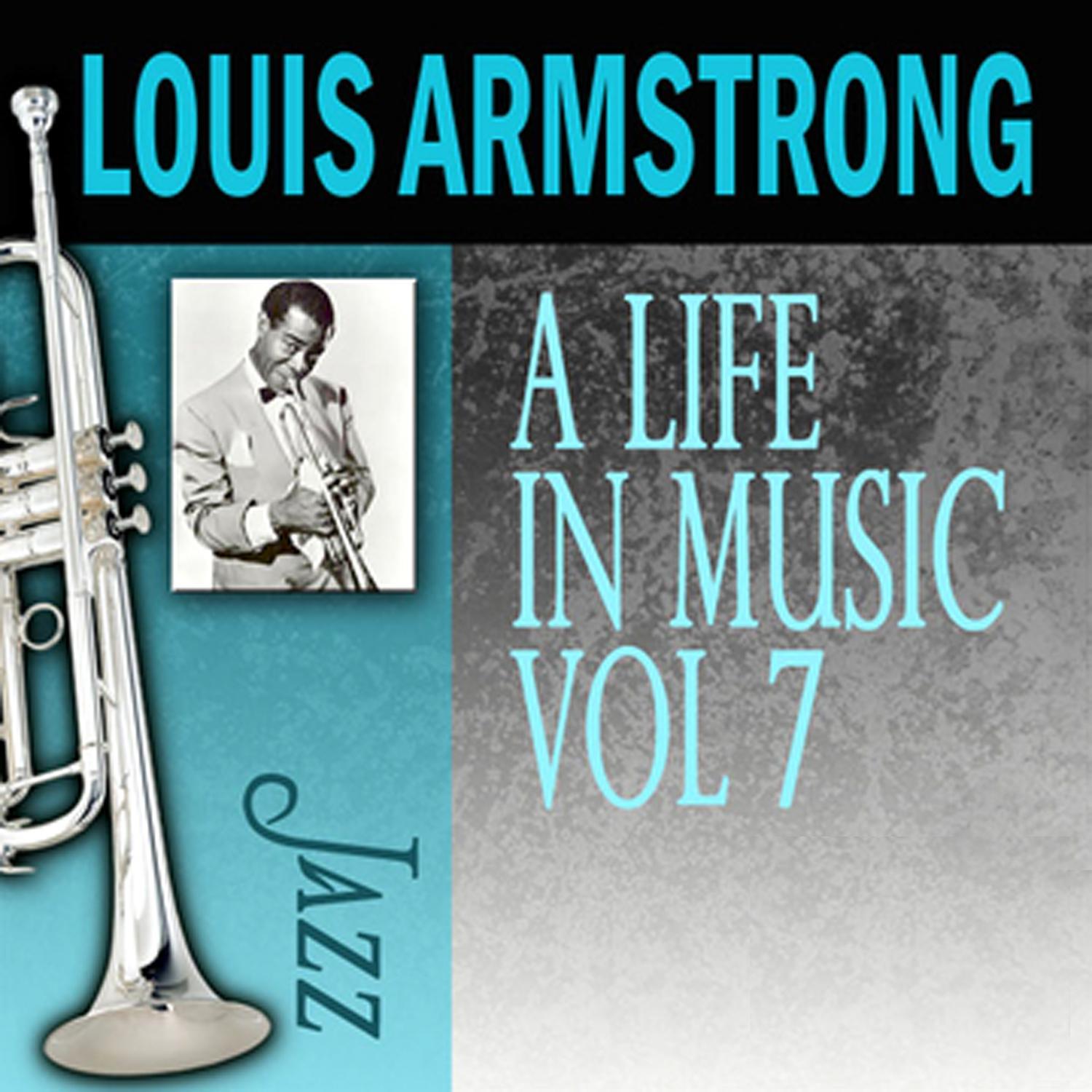 A Life in Music, Vol. 7