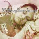 25 Heavy Storm Sounds专辑