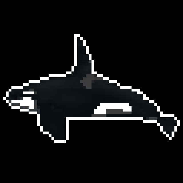 徵羽摩柯 - 虎鲸