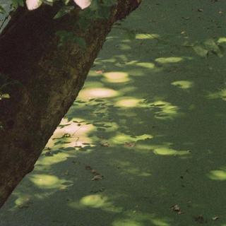 纯音乐 | 发呆、静坐、散步、看天