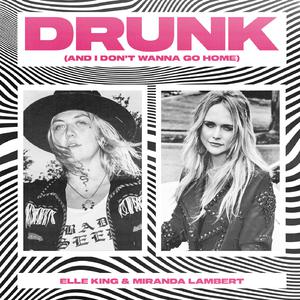 Elle King & Miranda Lambert - Drunk (And I Don't Wanna Go Home) (PT karaoke) 带和声伴奏
