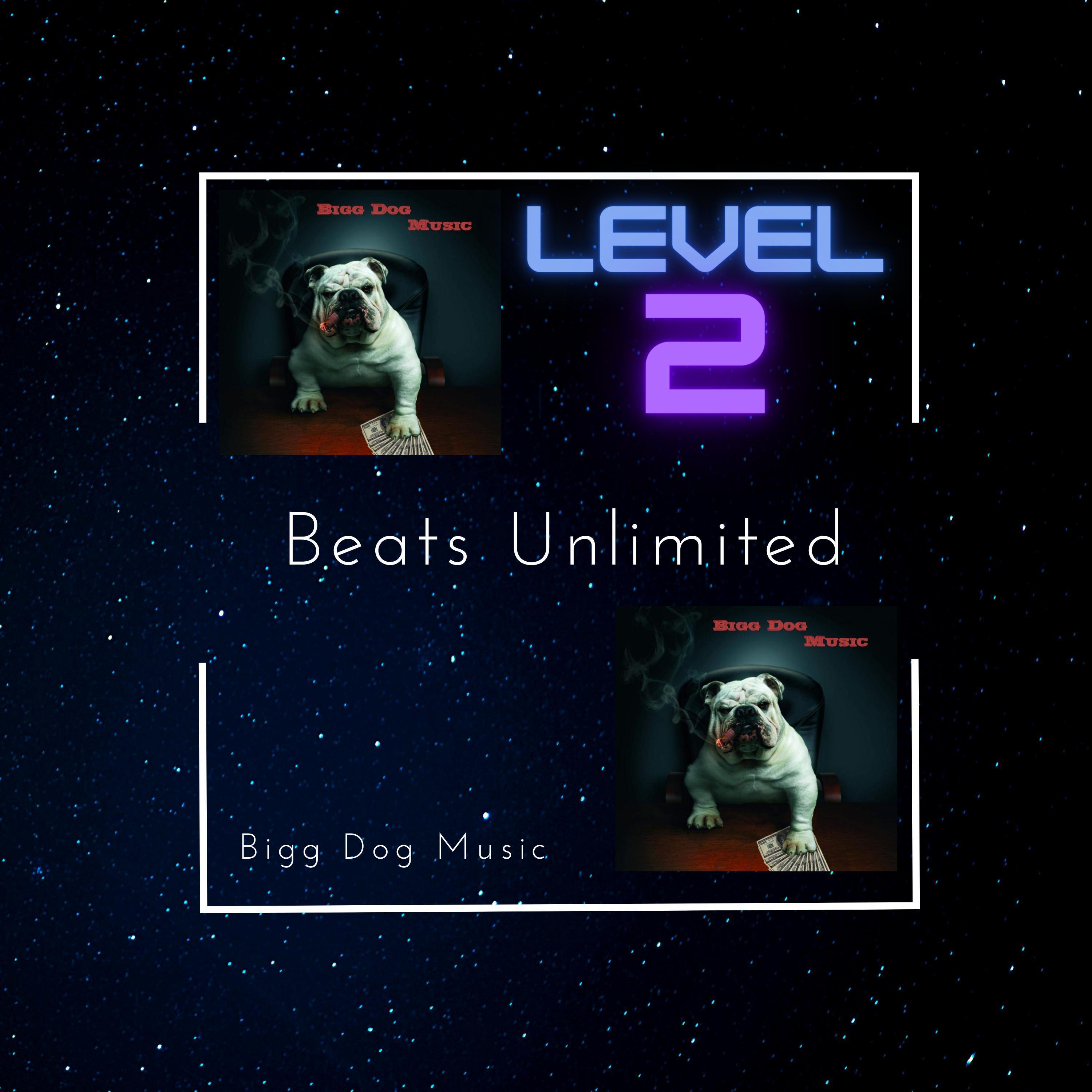 Beats Unlimited 2