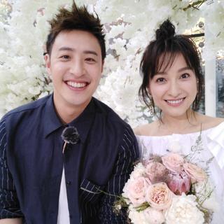 无尾熊“失眠”歌单❤️