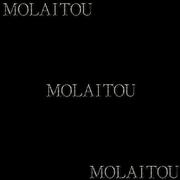 莫来头(MOLAITOU)