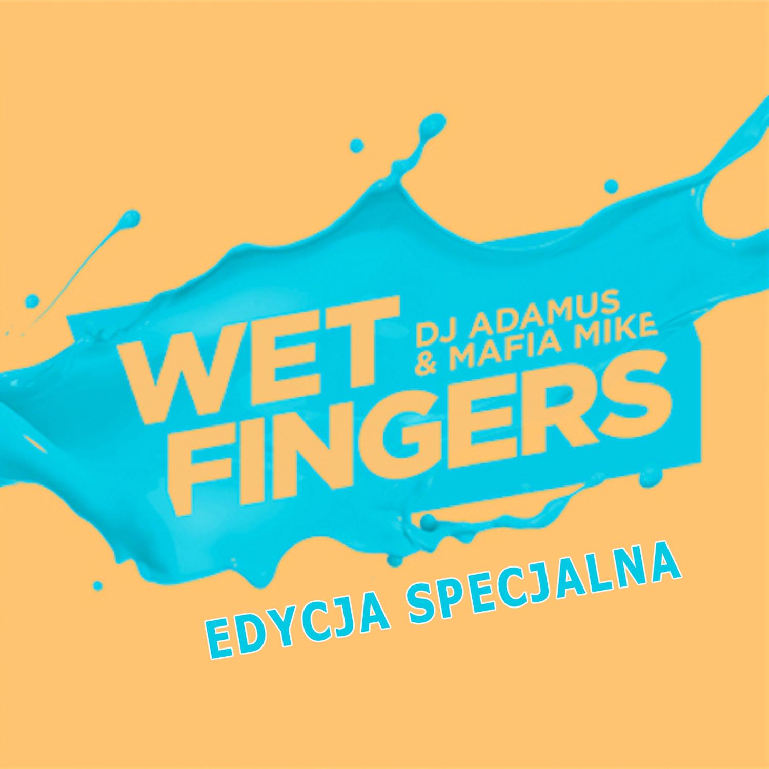 Wet Fingers - Music Sounds Better with You (Roberto Bedross)