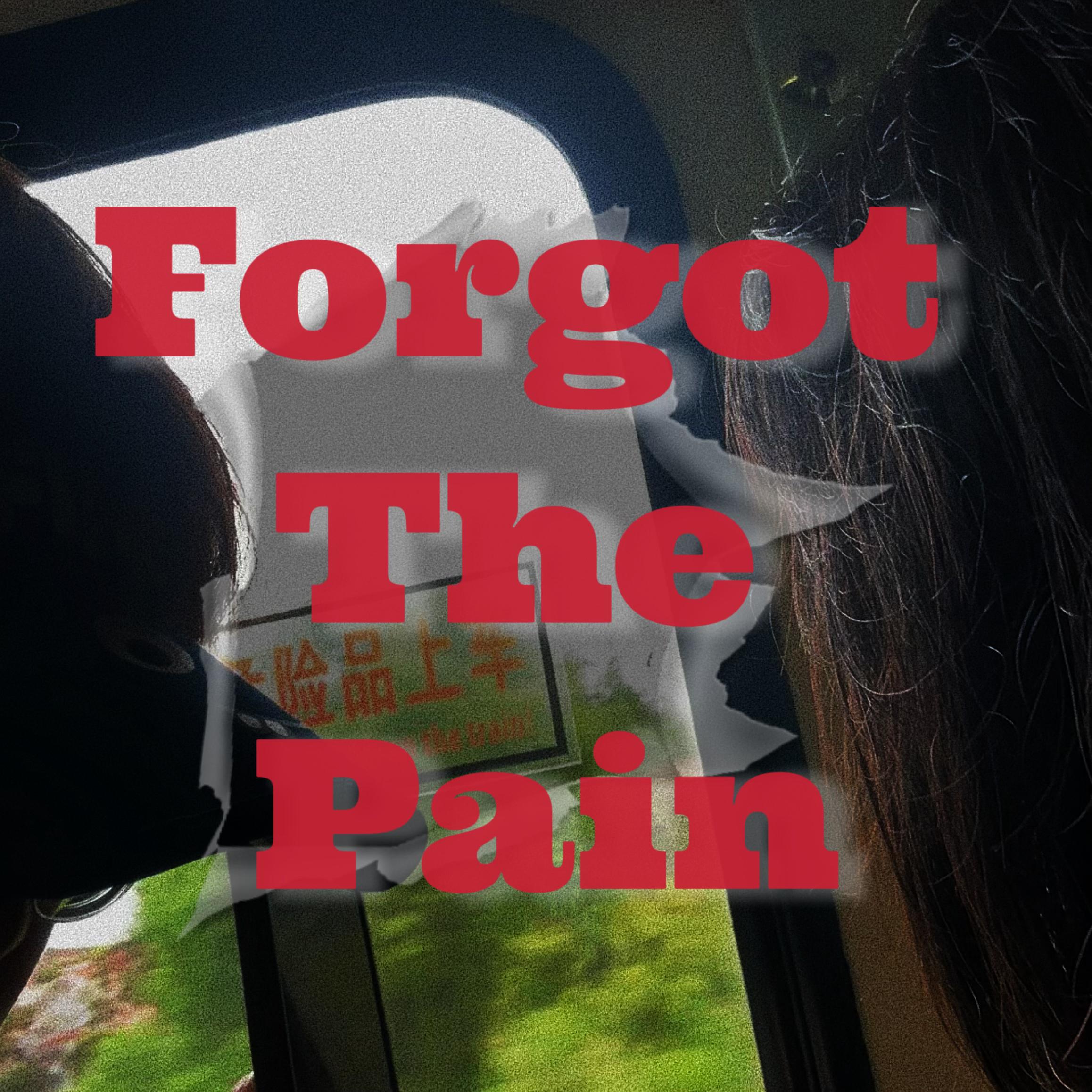 Forgot The Pain