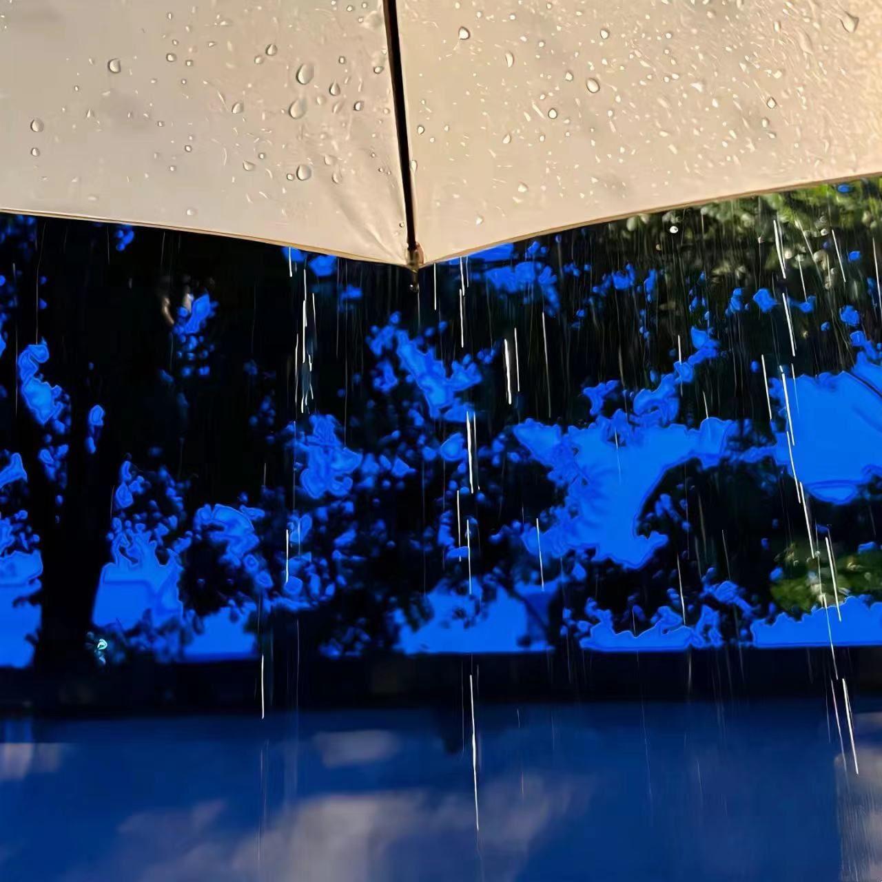 想和你漫步在雨淋湿的无尽夏里