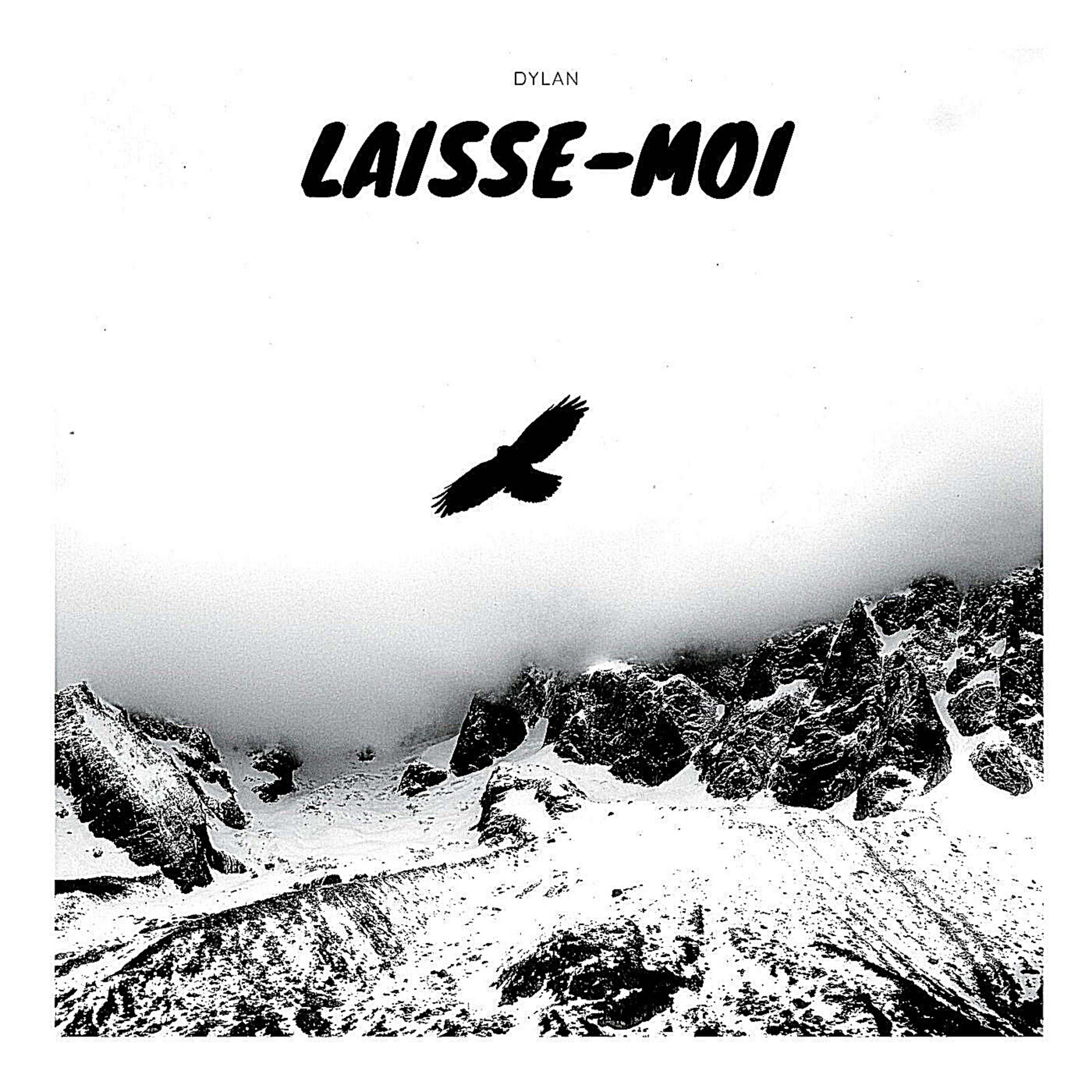 Laisse-moi